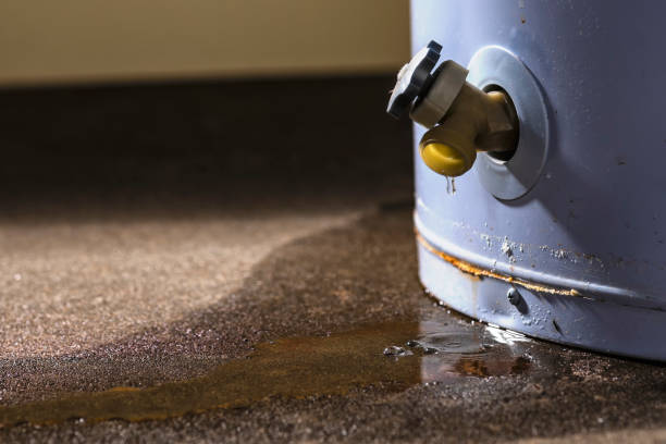 Best Commercial water damage restoration  in Prescott, AZ