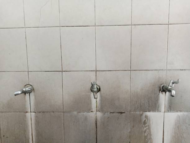 Best Flood restoration services  in Prescott, AZ