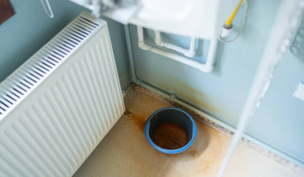Best Water damage cleanup near me  in Prescott, AZ