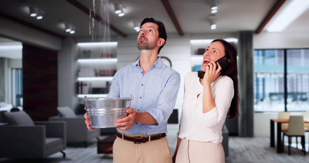 Best Carpet water damage restoration  in Prescott, AZ