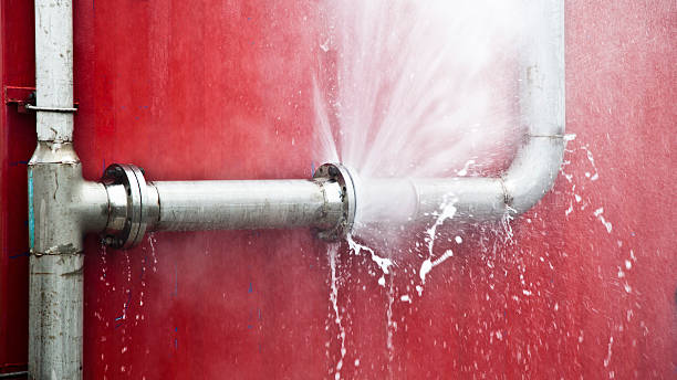 Best Basement water damage restoration  in Prescott, AZ